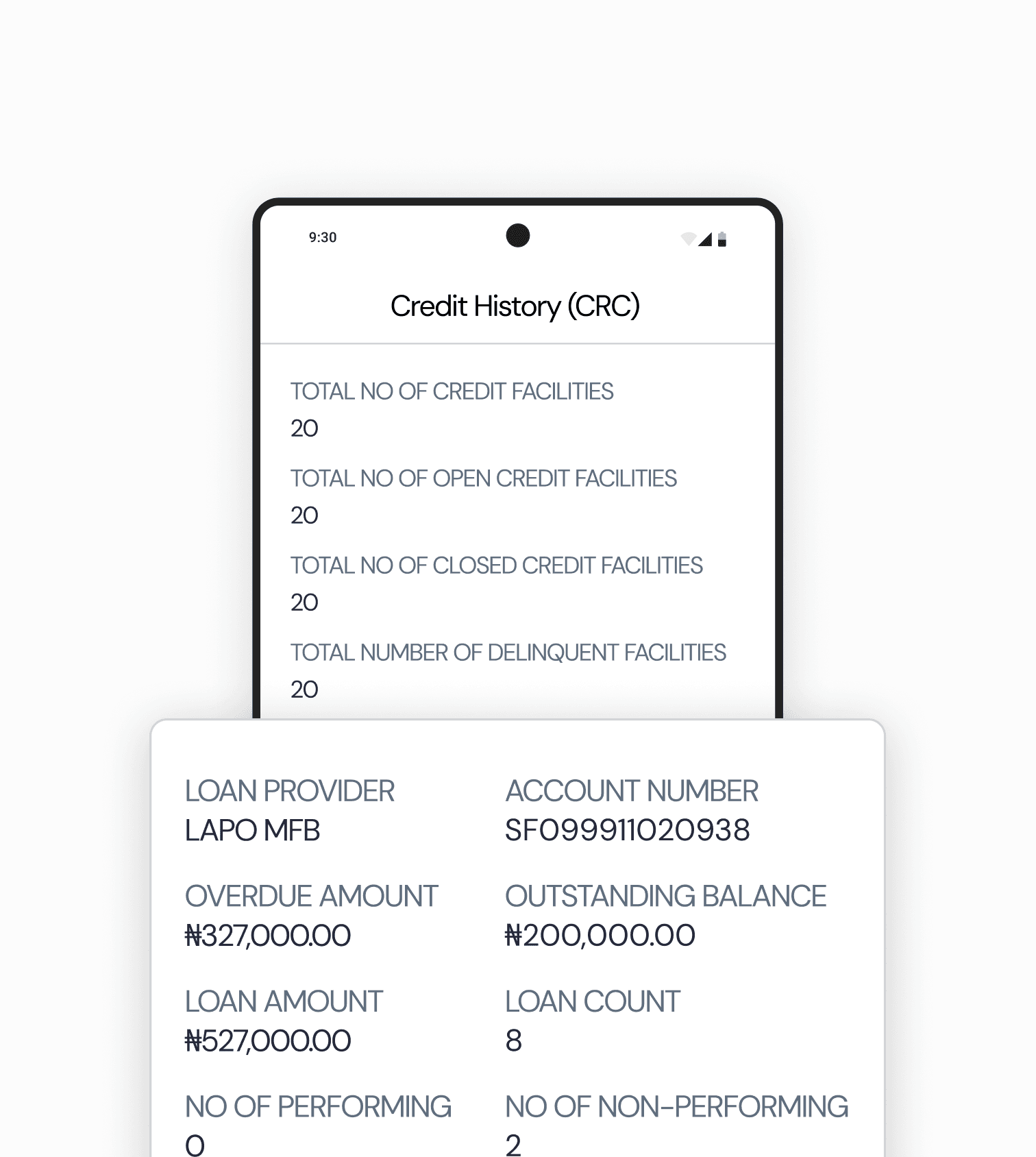 Identity Verification Scan